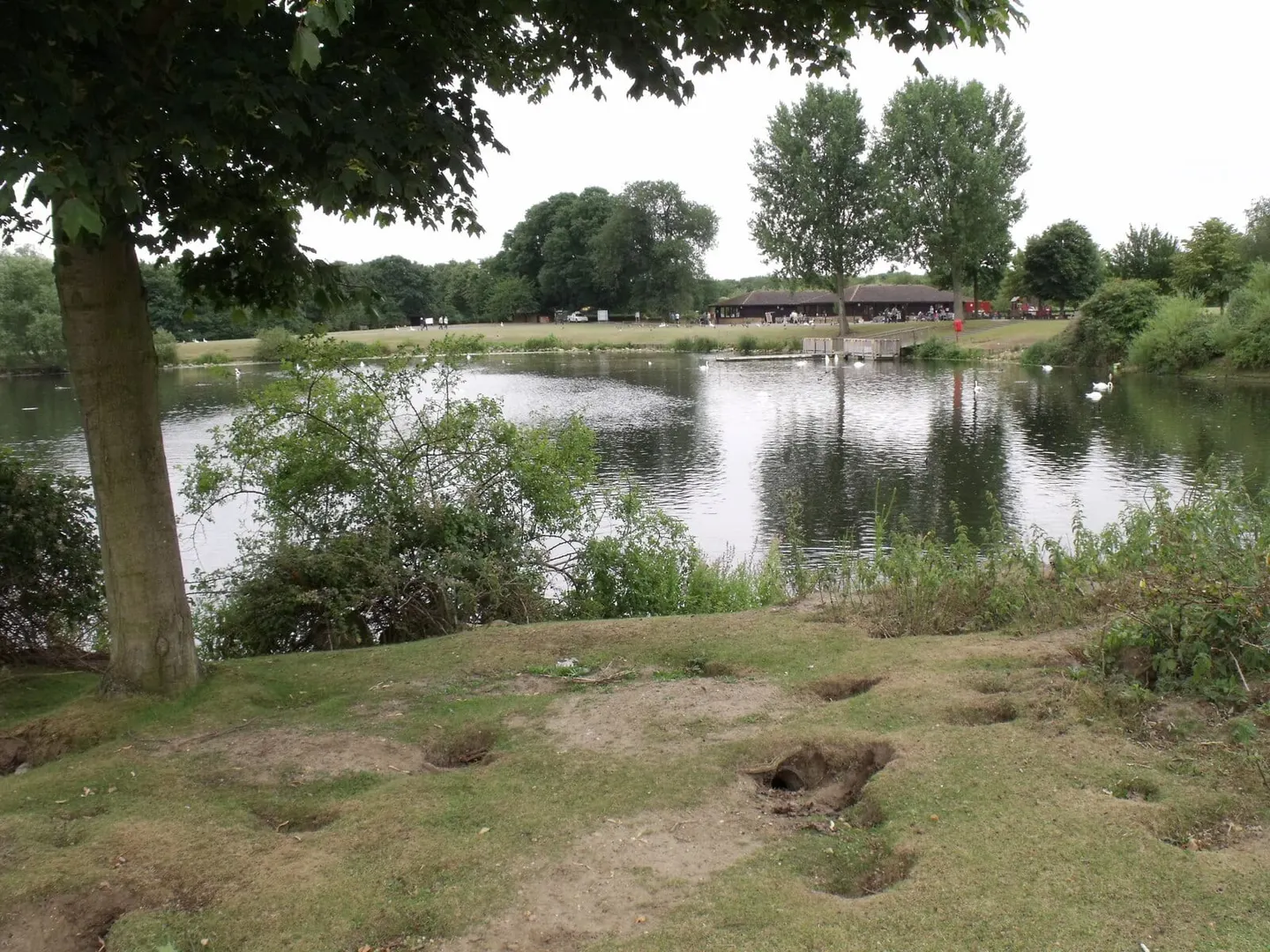 Photo of Nene Park, a country park near Peterborough, Cambridgeshire, eastern England.