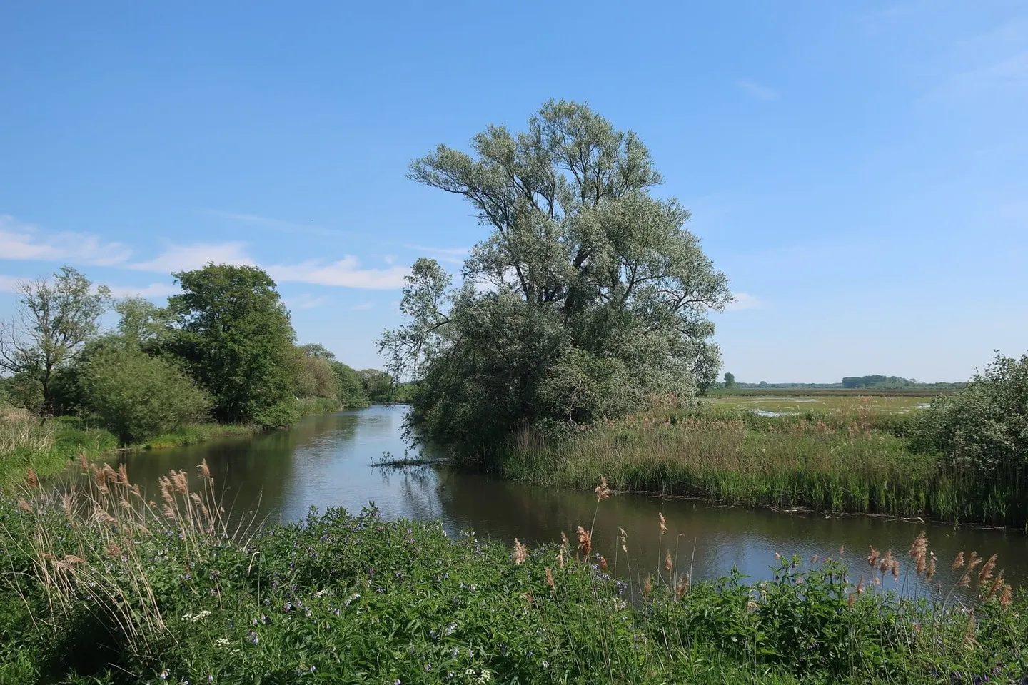 Photo of the River Wissey, a river navigation running from Great Ouse junction to Whittington, eastern England.