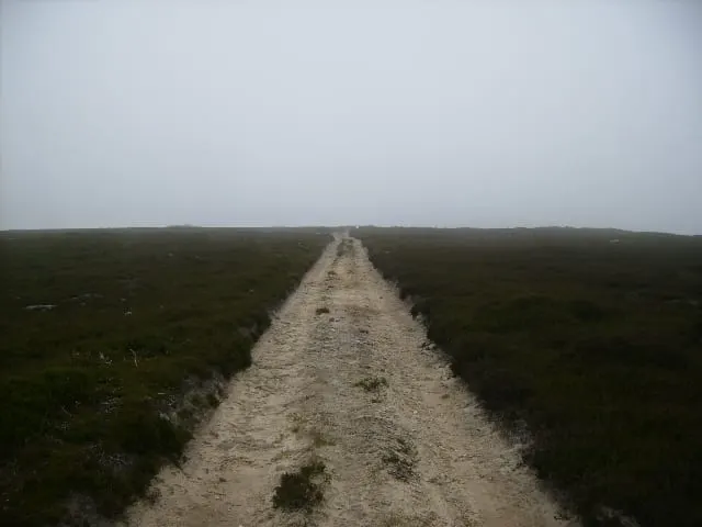 Photo: Gisborough Moor, a 329m hill near Castleton in the North York Moors, North Yorkshire, northern England.