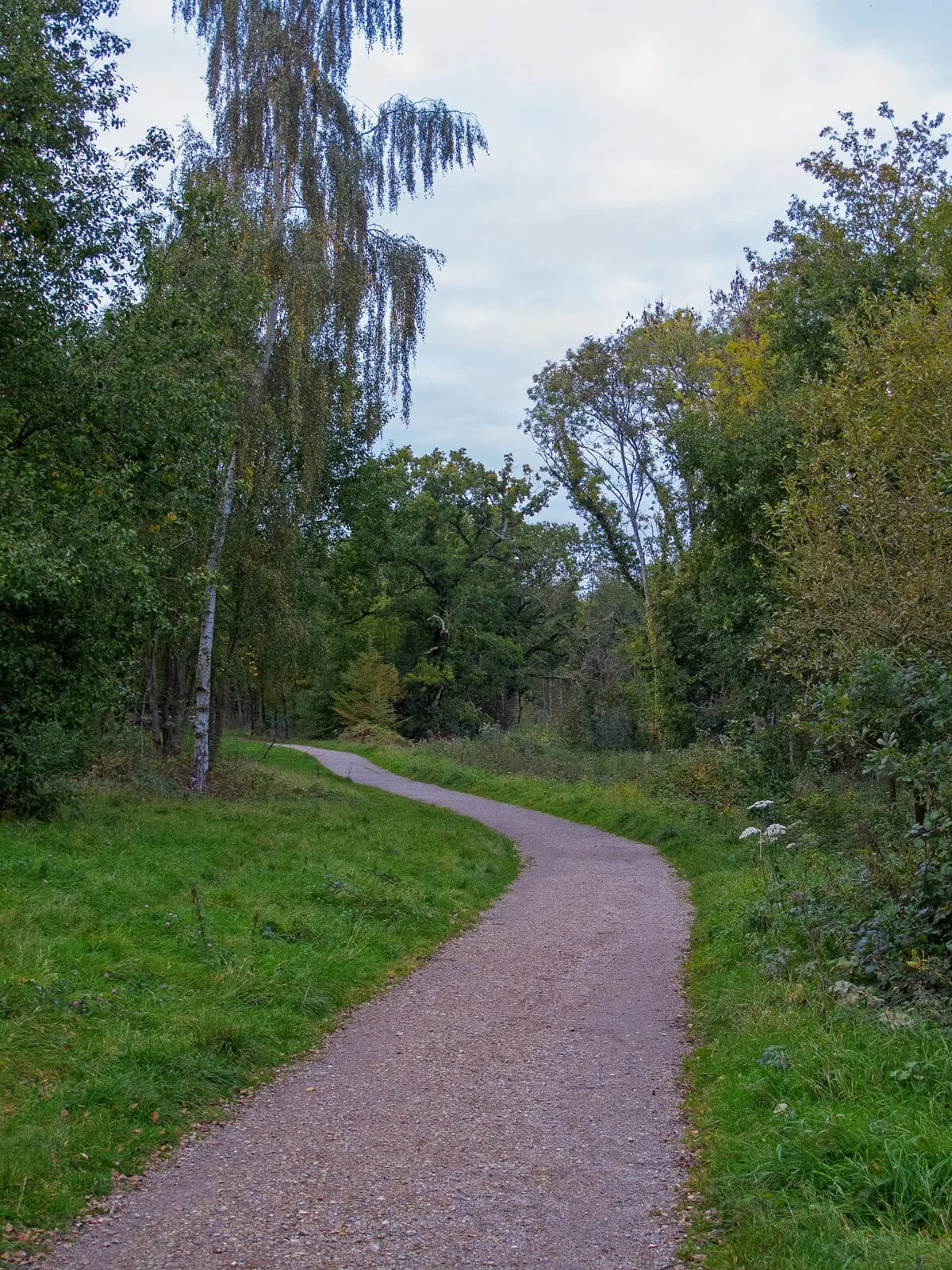 Photo of Warley Country Park, a country park near Brentwood, Essex, eastern England.