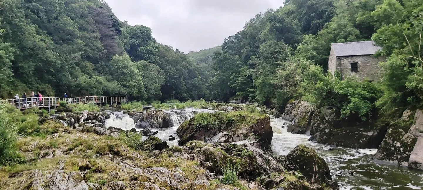Photo of Cenarth Falls, a waterfall in Carmarthenshire, south west Wales.