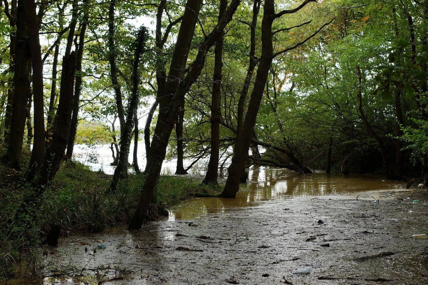 Photo of River Hamble Country Park, a country park near Bursledon, Hampshire, south east England.