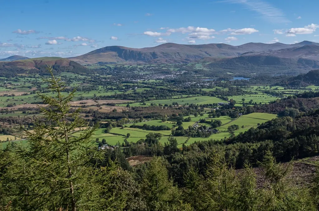 Photo of Whinlatter Forest Park, a country park near Thornthwaite in the Lake District, Cumbria, north west England.