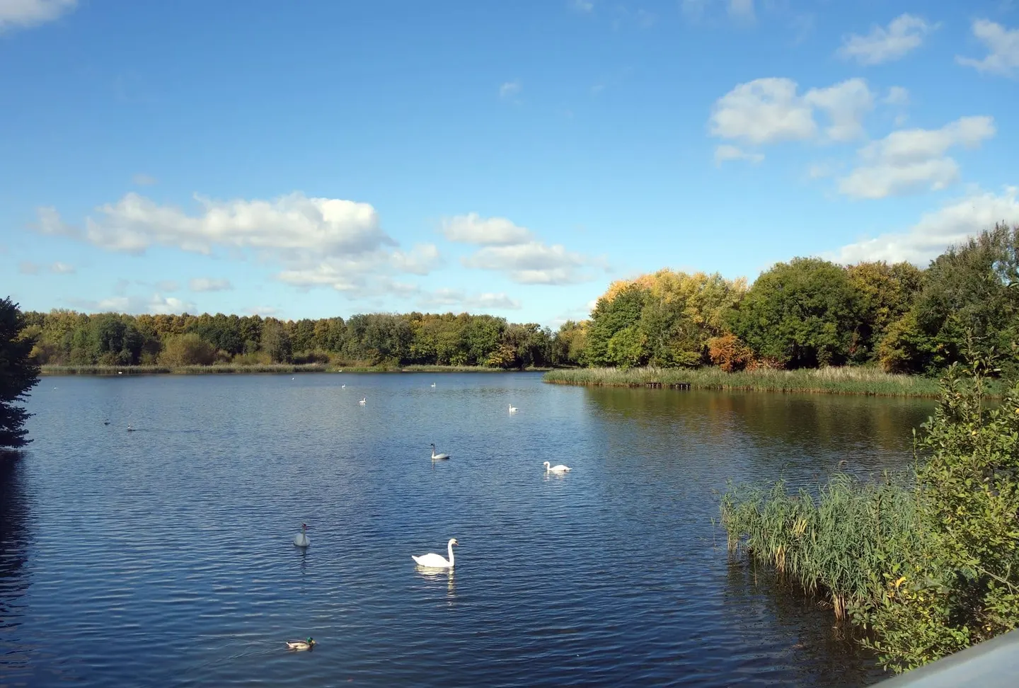 Photo of Coate Water Country Park, a country park near Swindon, Wiltshire, south west England.