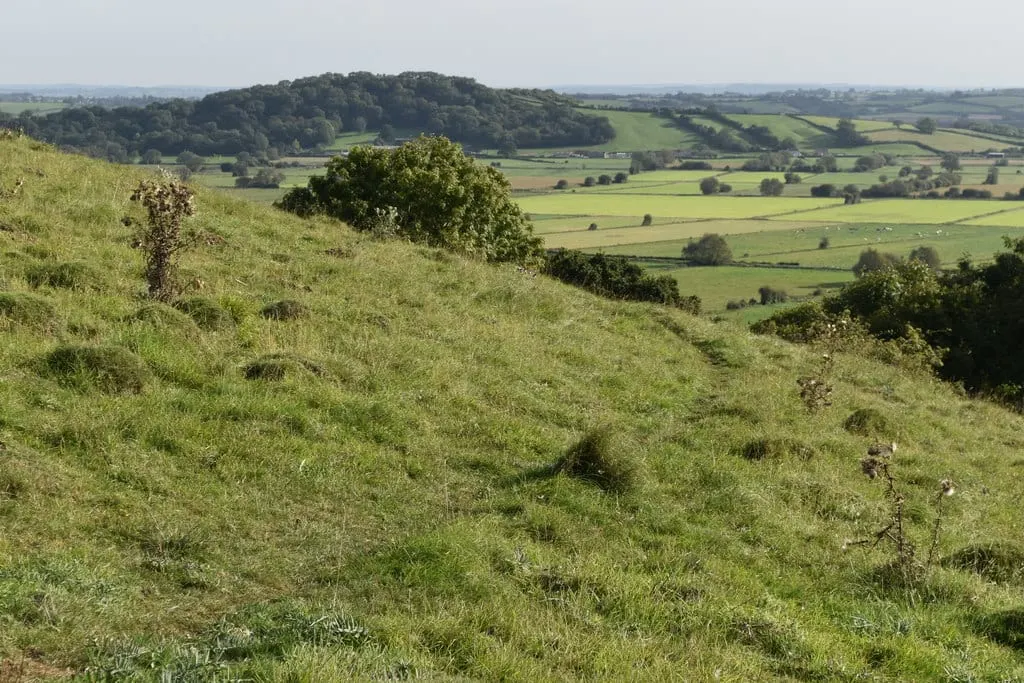 Photo of Walton and Ivythorn Hills, a Site of Special Scientific Interest near Glastonbury, Somerset, south west England.