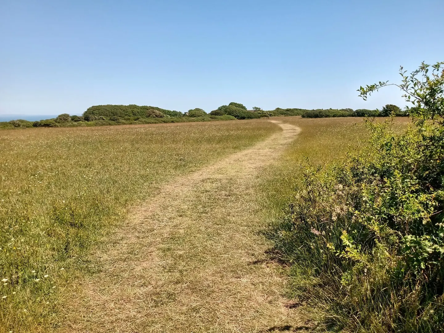 Photo of Durlston Country Park, a country park near Swanage, Dorset, south west England.