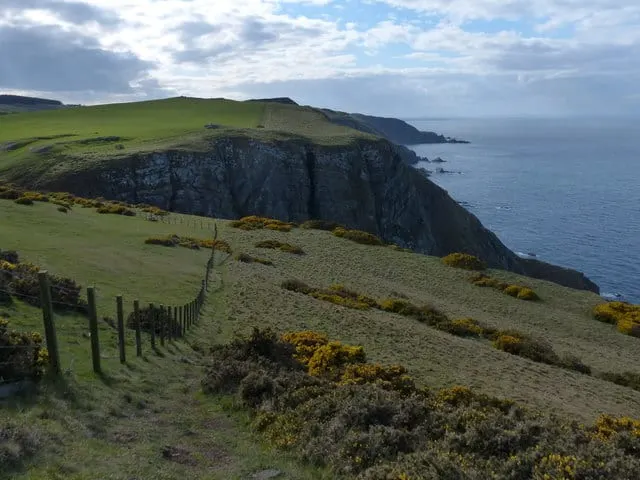 Photo along the Berwickshire Coastal Path, a long-distance trail running from Cockburnspath to Berwick-upon-Tweed, Scotland and England.