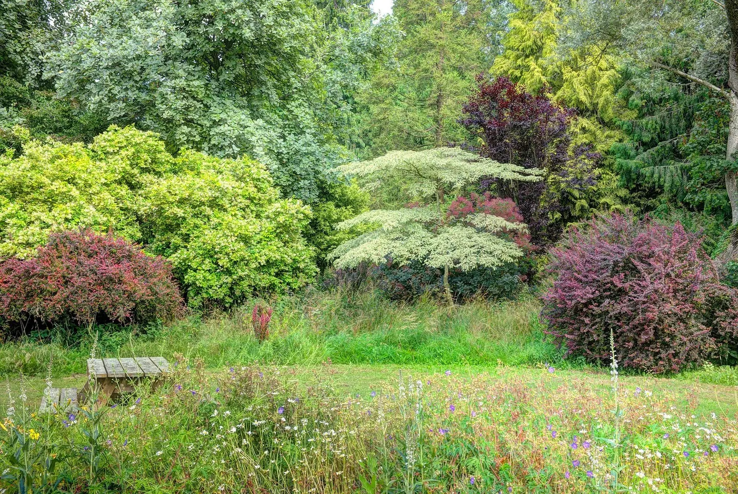 Photo of Thorp Perrow Arboretum, a Grade II registered house & garden near Masham, North Yorkshire, northern England.