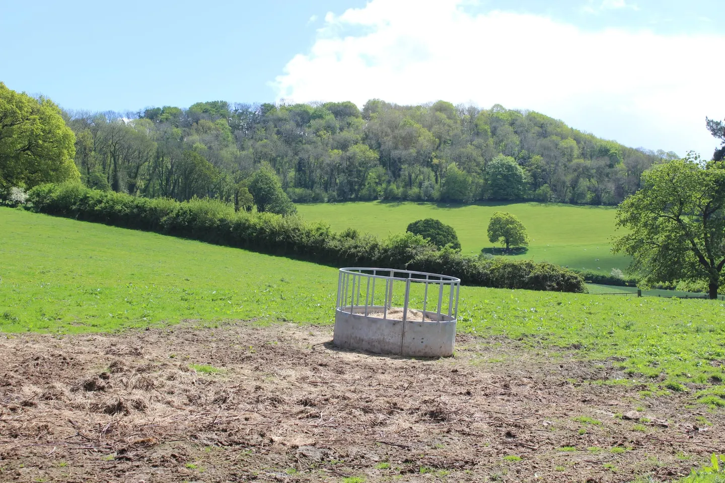 Photo of Coed y Bwynydd (Coed Arthur), an ancient site near Bettws Newydd, Monmouthshire, south east Wales.