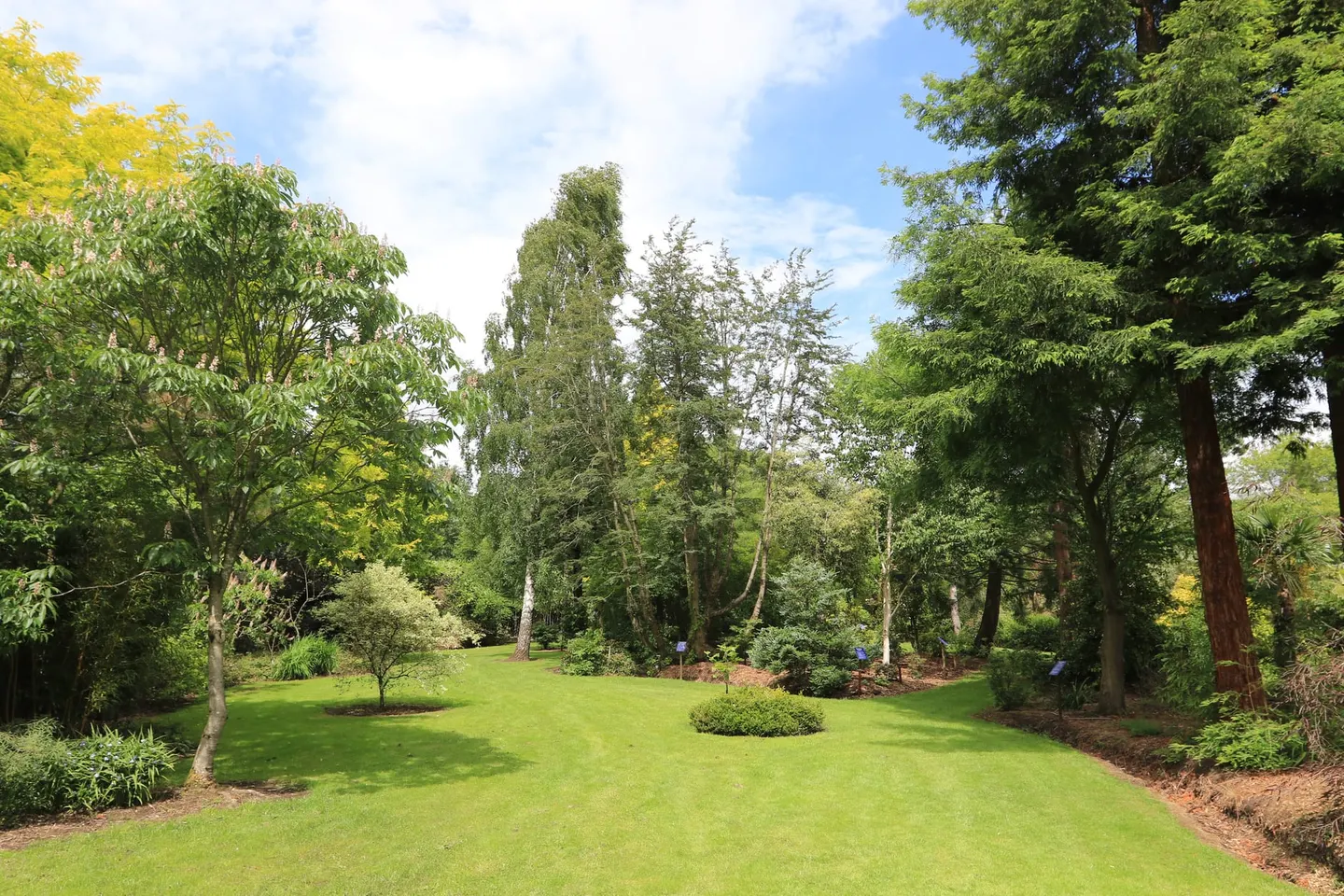 Photo of Bluebell Arboretum and Nursery, a garden near Smisby, Derbyshire, central England.