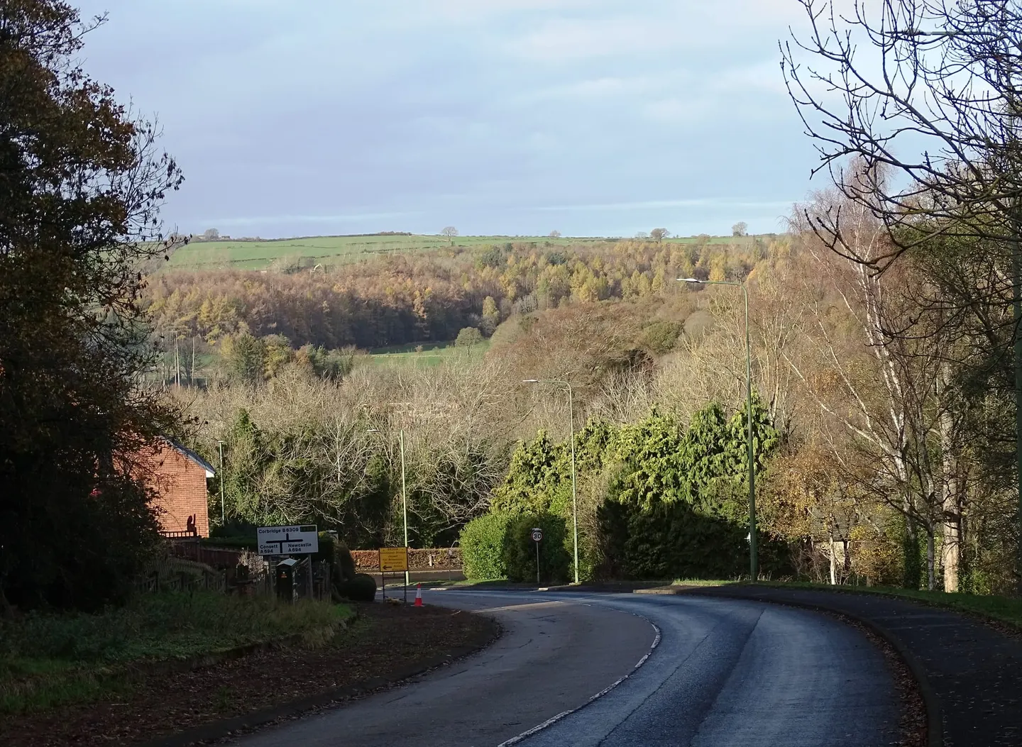 Photo of Ebchester Woods, a nature reserve near Wylam, County Durham, north east England.