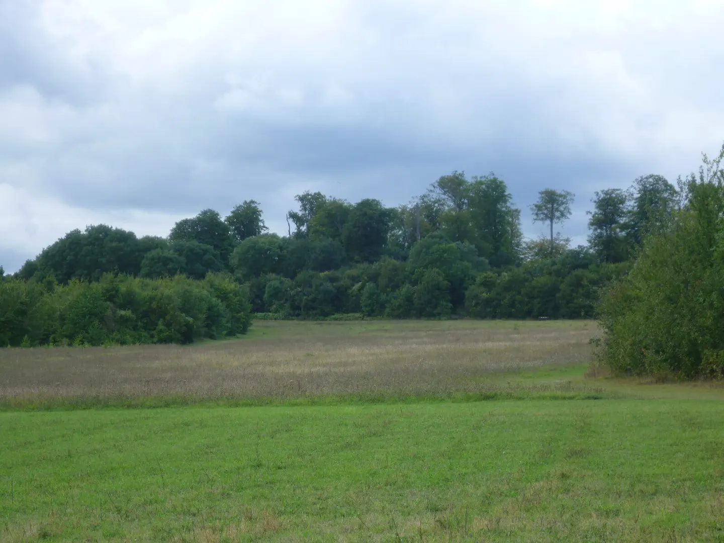 Photo of Lullingstone & Preston Hill Country Park, a country park near Shoreham, Kent, south east England.