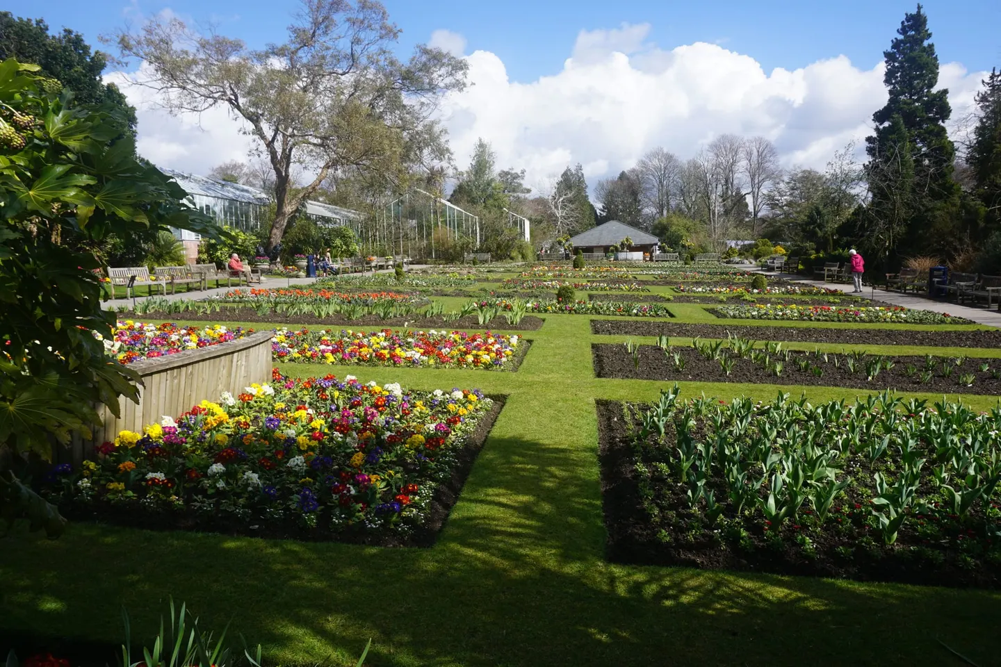 Photo of Singleton Botanical Gardens, a garden in Swansea, south west Wales.