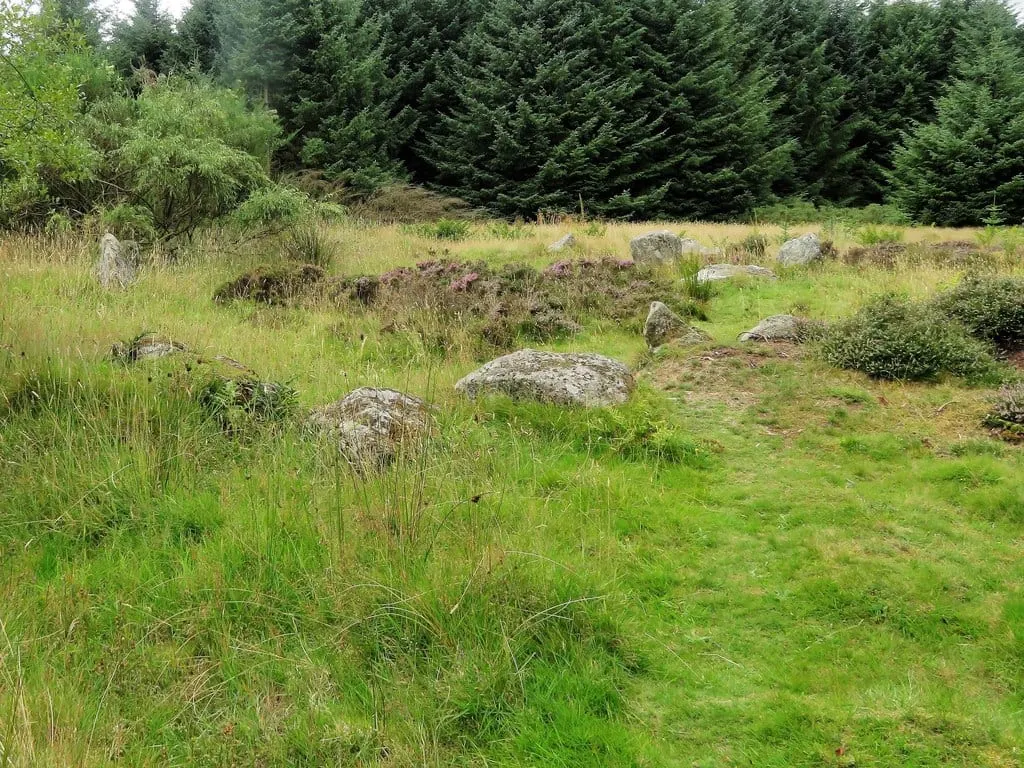 Photo of White Cow Wood, a stone circle in Aberdeenshire, north east Scotland.