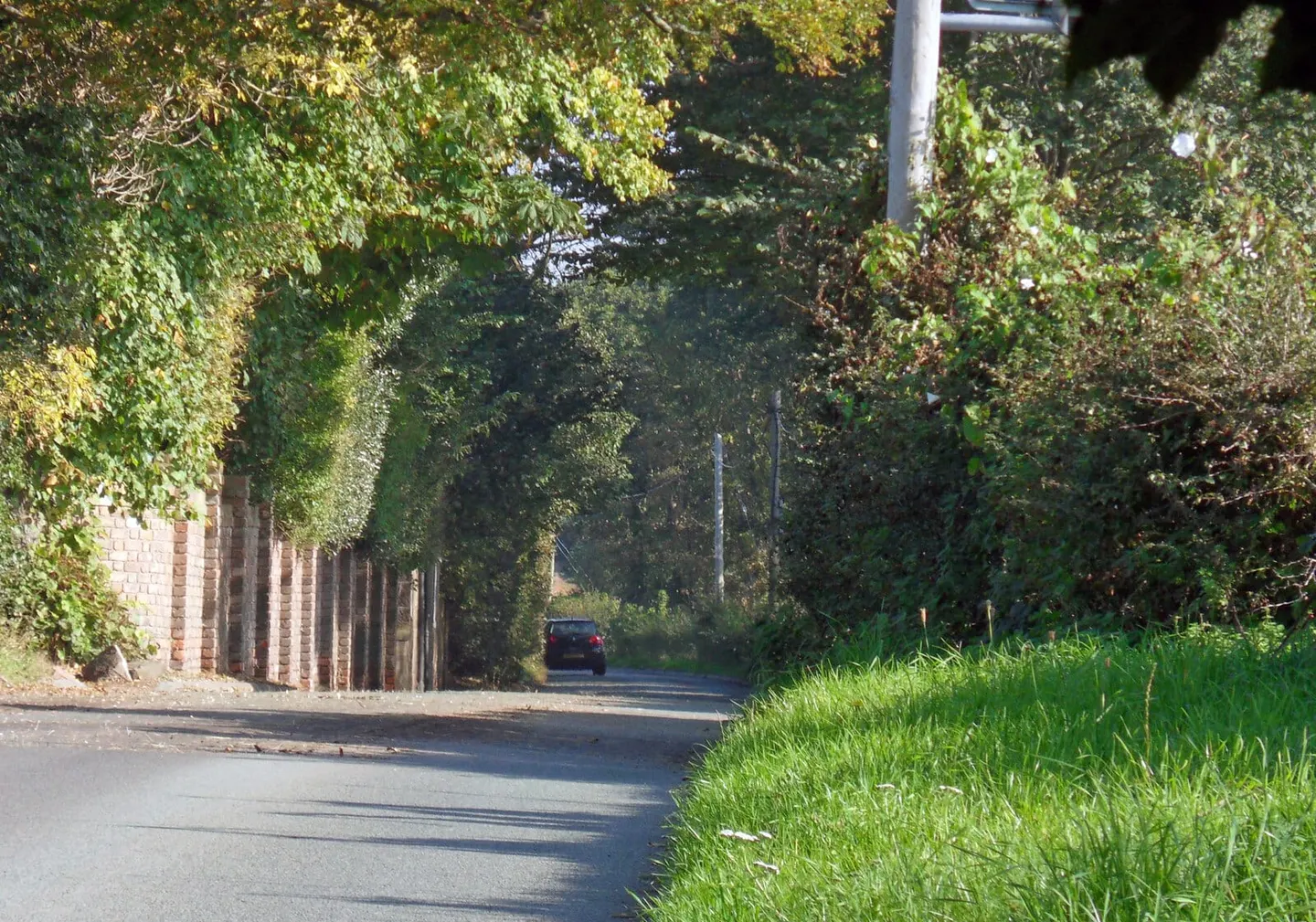 Photo of Wirral, the Country Park, a country park near Parkgate, Cheshire, north west England.