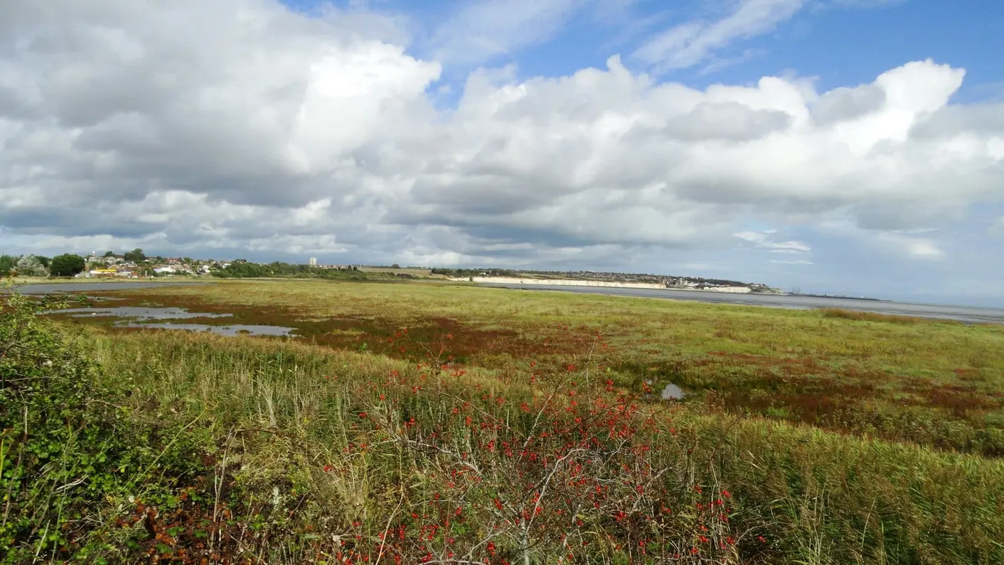 Photo of Pegwell Bay Country Park, a country park near Sandwich, Kent, south east England.