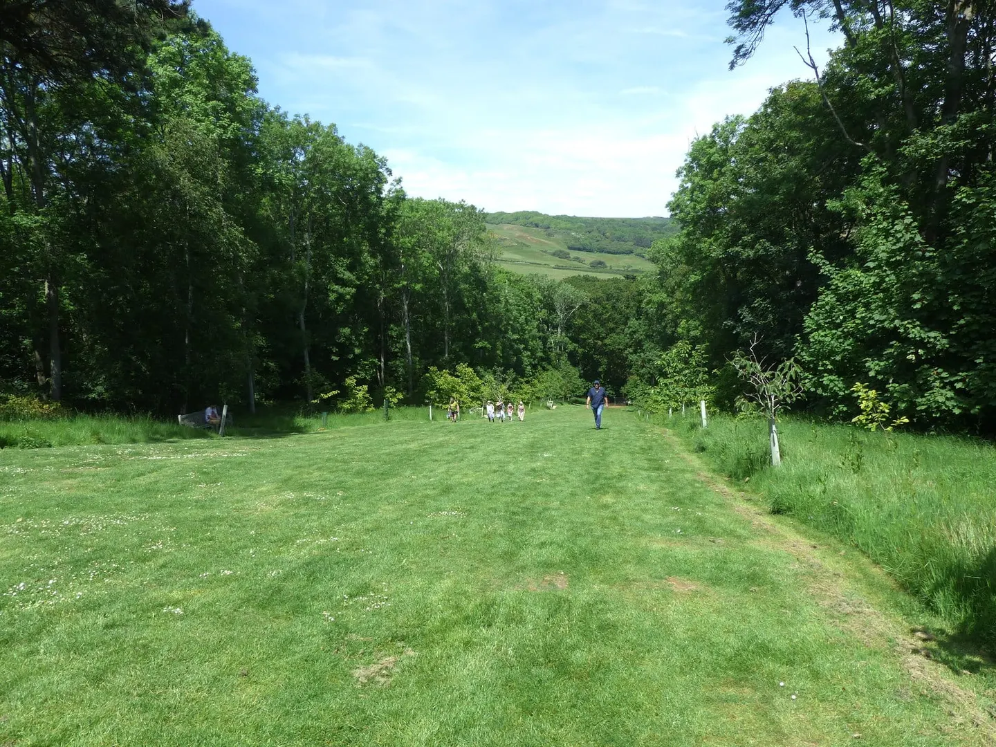 Photo of Abbotsbury Subtropical Gardens, a Grade I registered house & garden in Dorset, south west England.