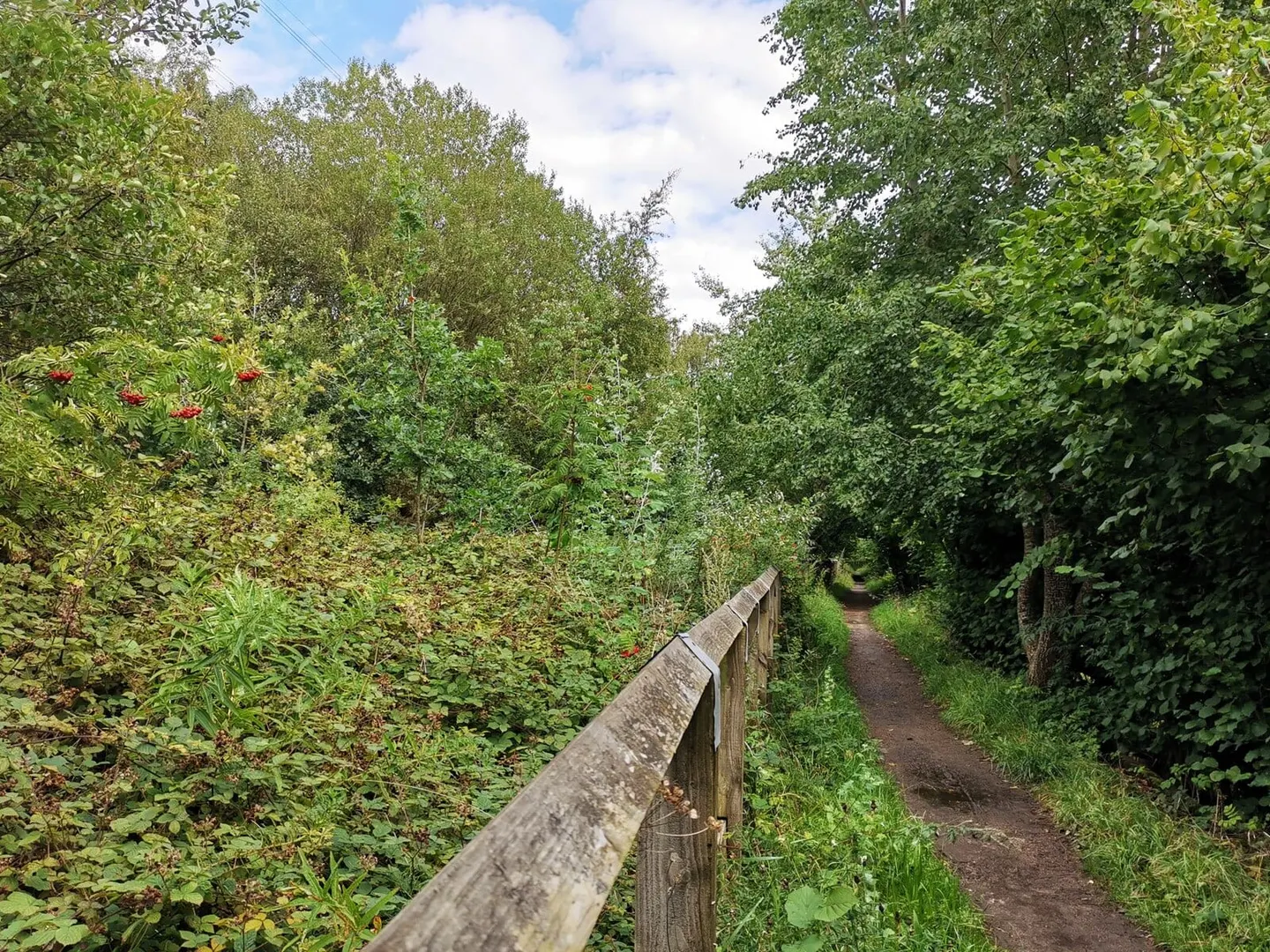 Photo of Mersey Vale Country Park, a country park in Greater Manchester, north west England.