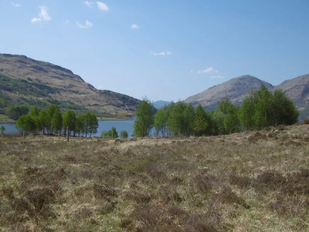 Photo of Loch Etive, a loch near Taynuilt, Argyll and Bute, the Scottish Highlands and Islands.