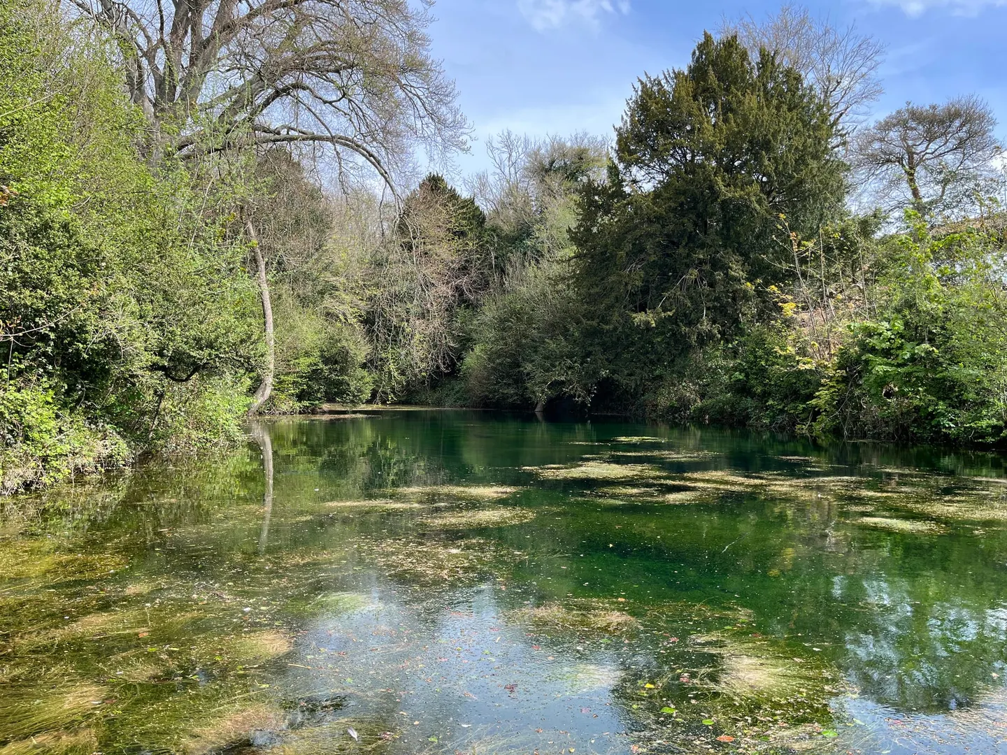 Photo of Silent Pool, a pool near Shere, Surrey, south east England.