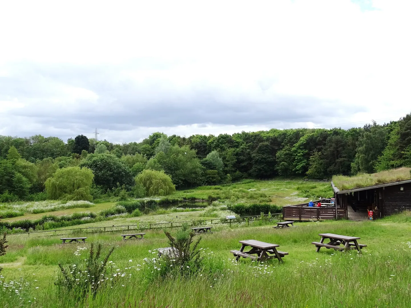 Photo of WWT Washington Wetland Centre, a nature reserve near Sunderland, Tyne and Wear, north east England.