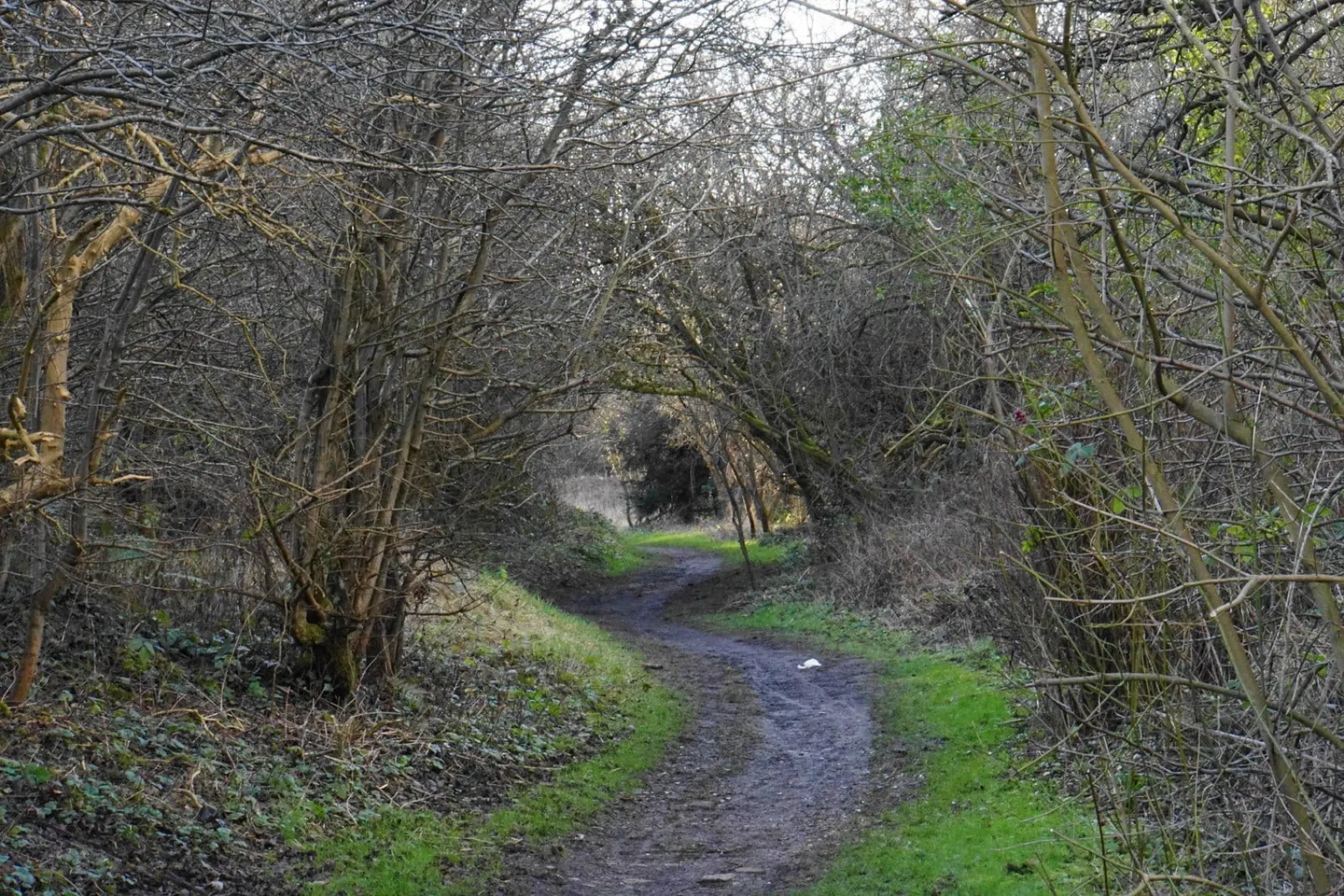 Photo of Highfields Country Park, a country park in Greater Manchester, north west England.