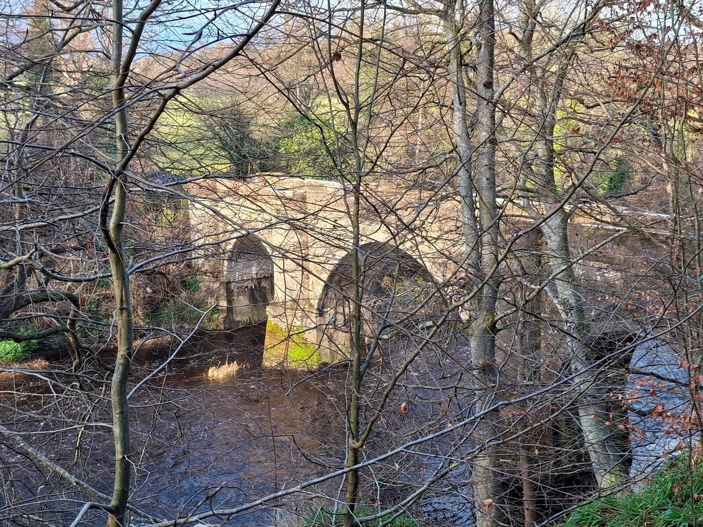 Photo along the River Ayr Way, a long-distance trail running from Glenbuck to Ayr, southern Scotland.