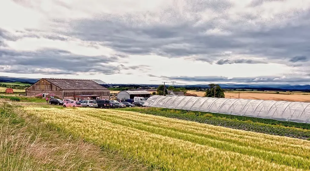 Photo of Broadslap Fruit Farm, a farm & farm shop near Dunning, Perth and Kinross, central Scotland.
