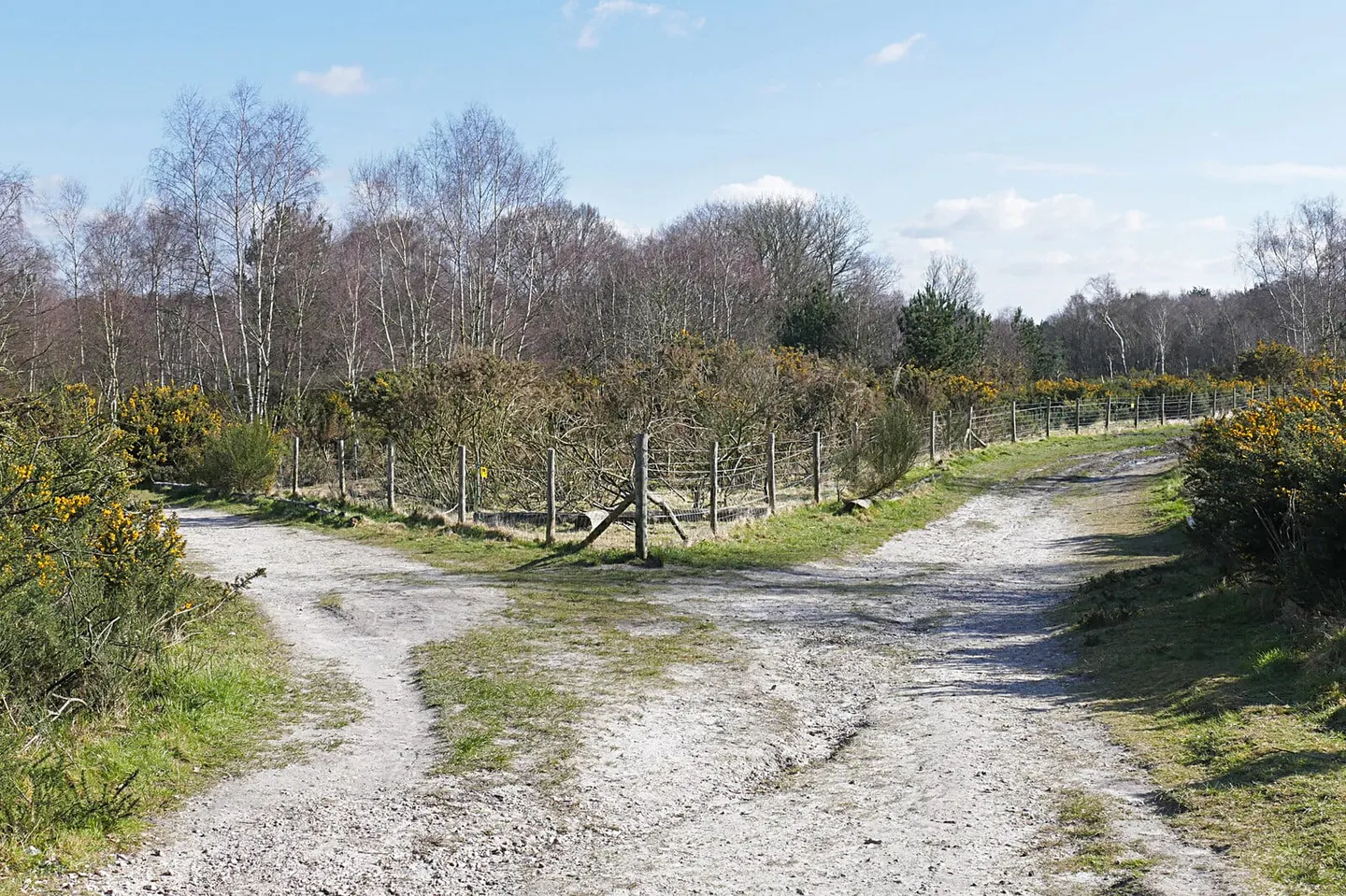 Photo of Lightwater Country Park, a country park near Chobham, Surrey, south east England.