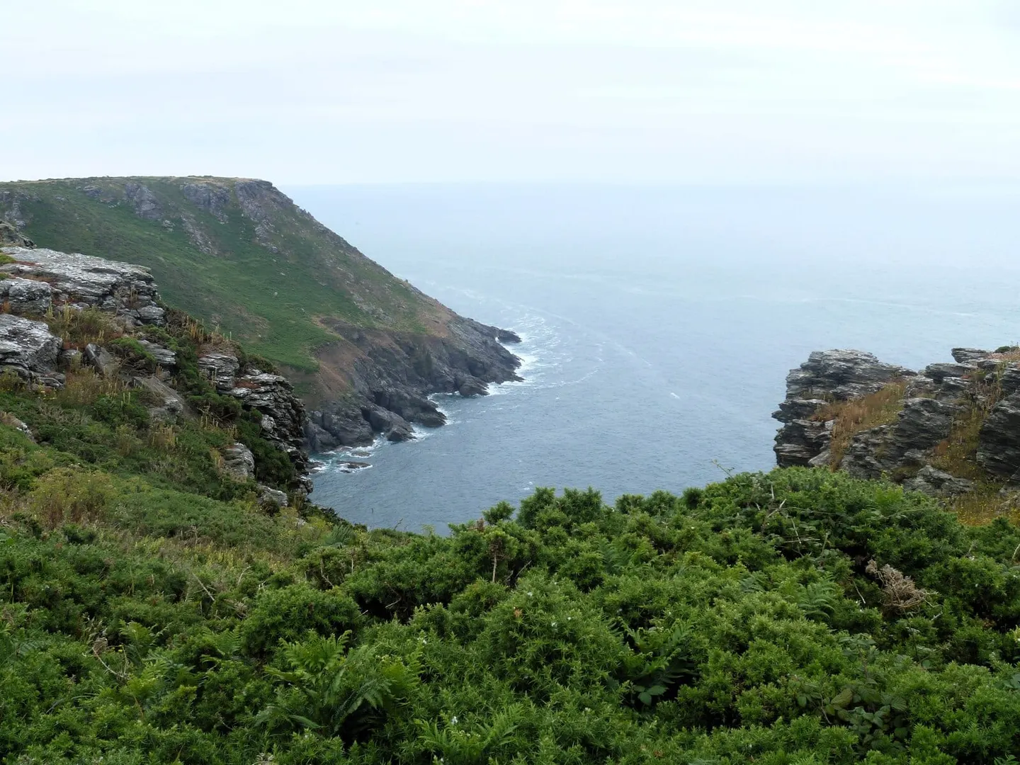 Photo of Bolt Head to Bolt Tail, a Site of Special Scientific Interest near Hope Cove, Devon, south west England.