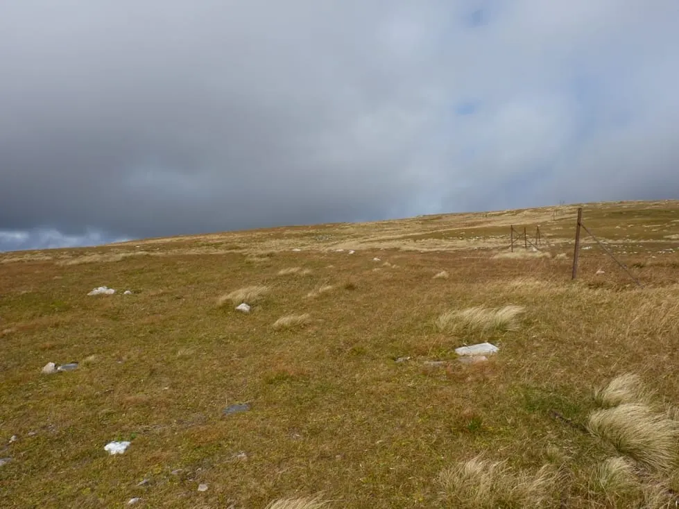 Photo: Meall Buidhe (Perth and Kinross, 908m), a 908m mountain near Rannoch, Perth and Kinross, central Scotland.