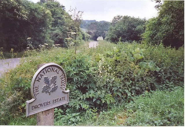 Photo of Drovers Estate, a country estate near Singleton in the South Downs, West Sussex, south east England.