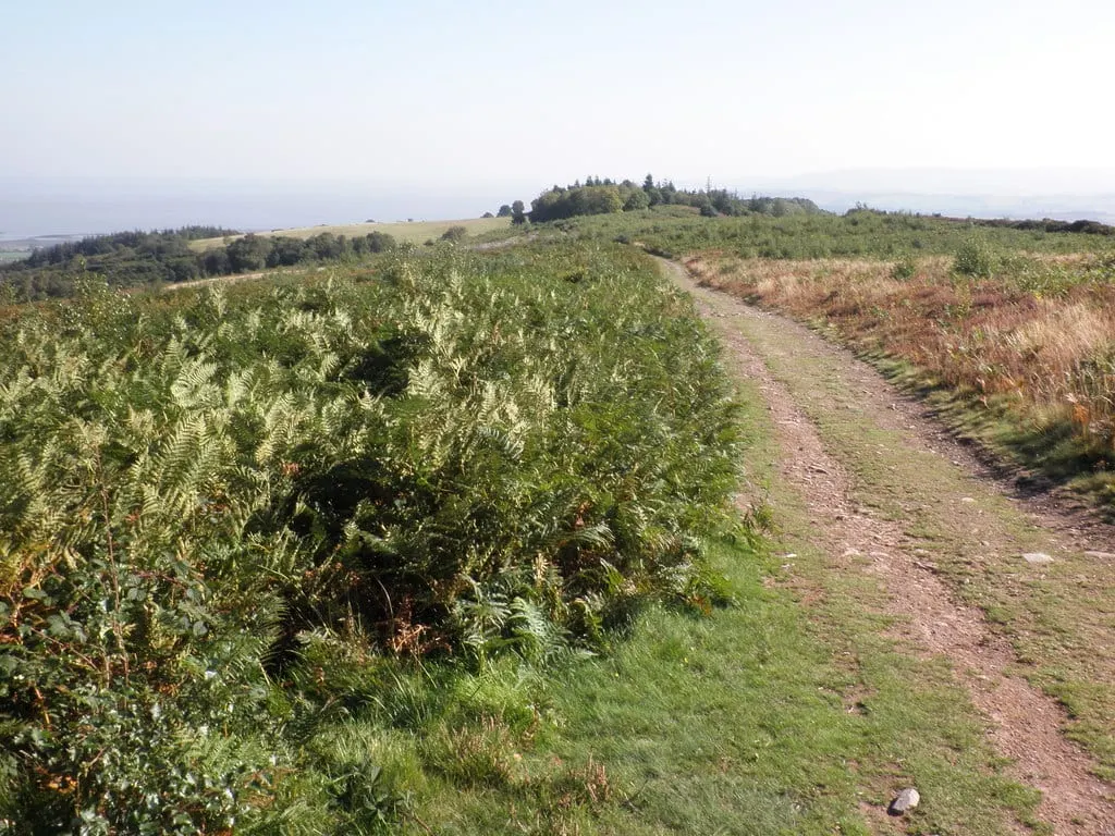 Photo of Grabbist Hill, a hillfort near Dunster in Exmoor, Somerset, south west England.