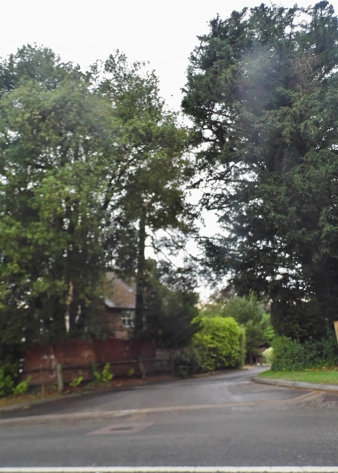 Photo of Ben Wilkinson at The Pass, South Lodge, a restaurant near Lower Beeding, West Sussex, south east England.