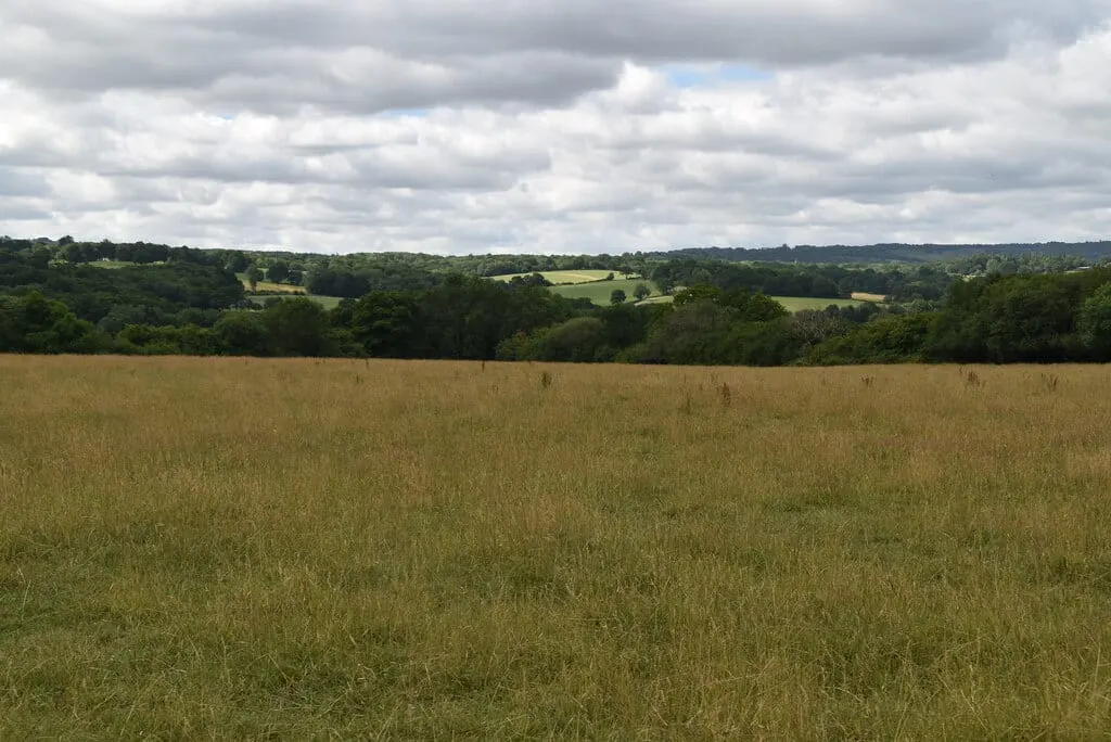 Photo of Forest Way Country Park, a country park near Hartfield in the High Weald, East Sussex, south east England.
