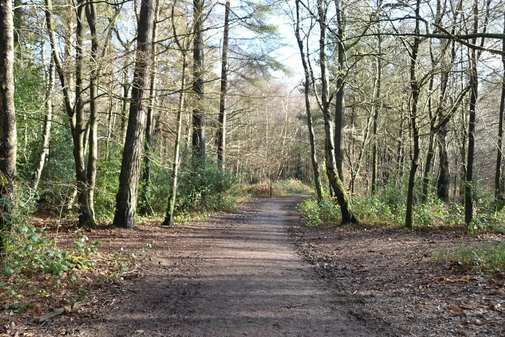 Photo of Limpsfield Common, a country estate near Godstone, Surrey, south east England.