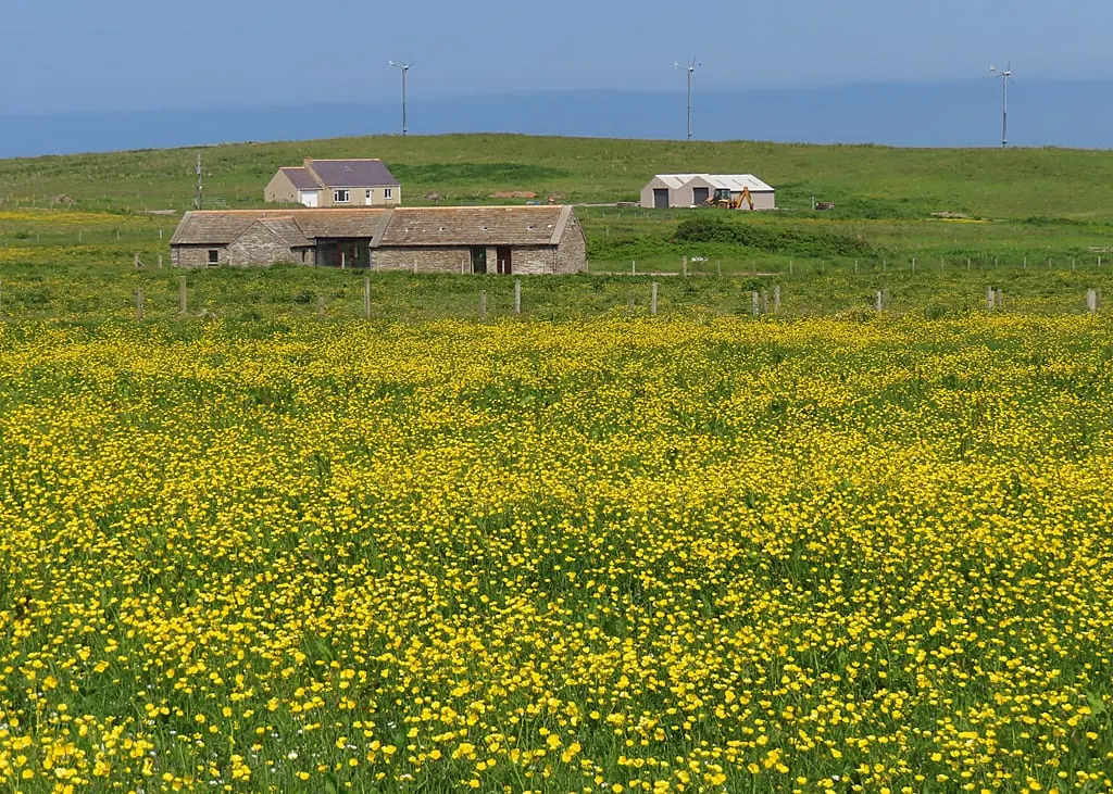 Photo of Mull Head Nature Reserve, a nature reserve in the Orkney Islands, the Scottish Highlands and Islands.