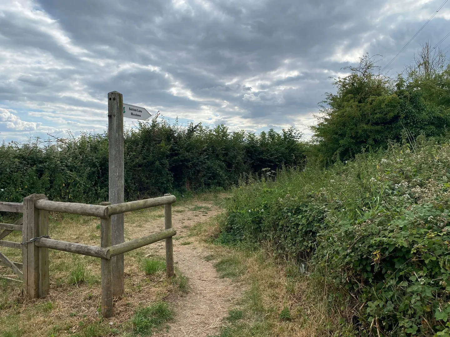 Photo of Sutton Lane Meadows, a Site of Special Scientific Interest near Grittleton, Wiltshire, south west England.