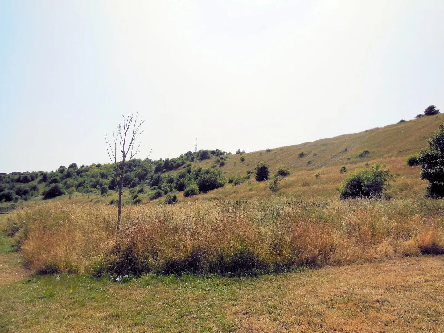 Photo of Whitehawk Hill & Camp, a nature reserve near Brighton, East Sussex, south east England.