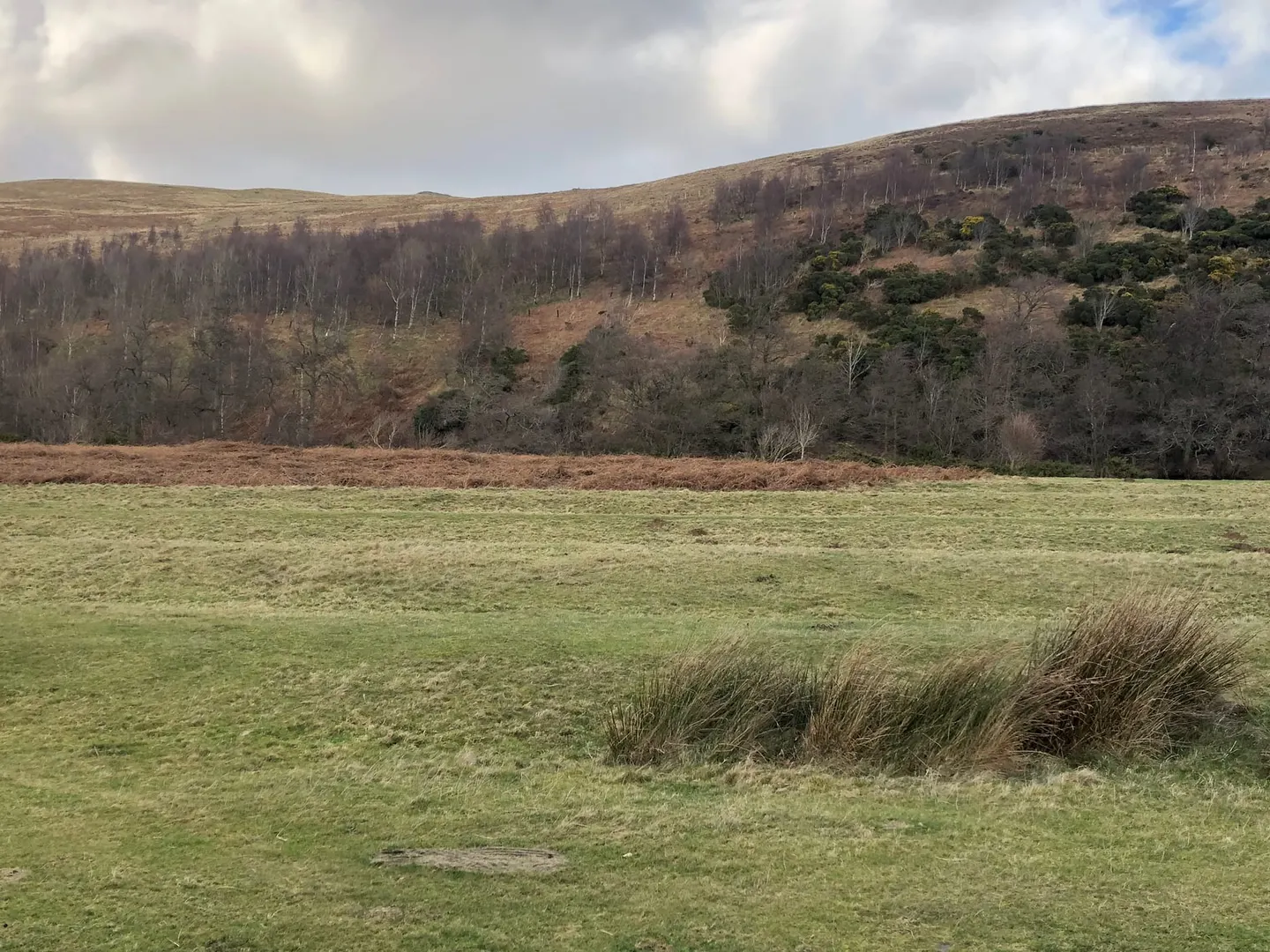 Photo: Breamish Valley, a viewpoint near Ingram, Northumberland, north east England.