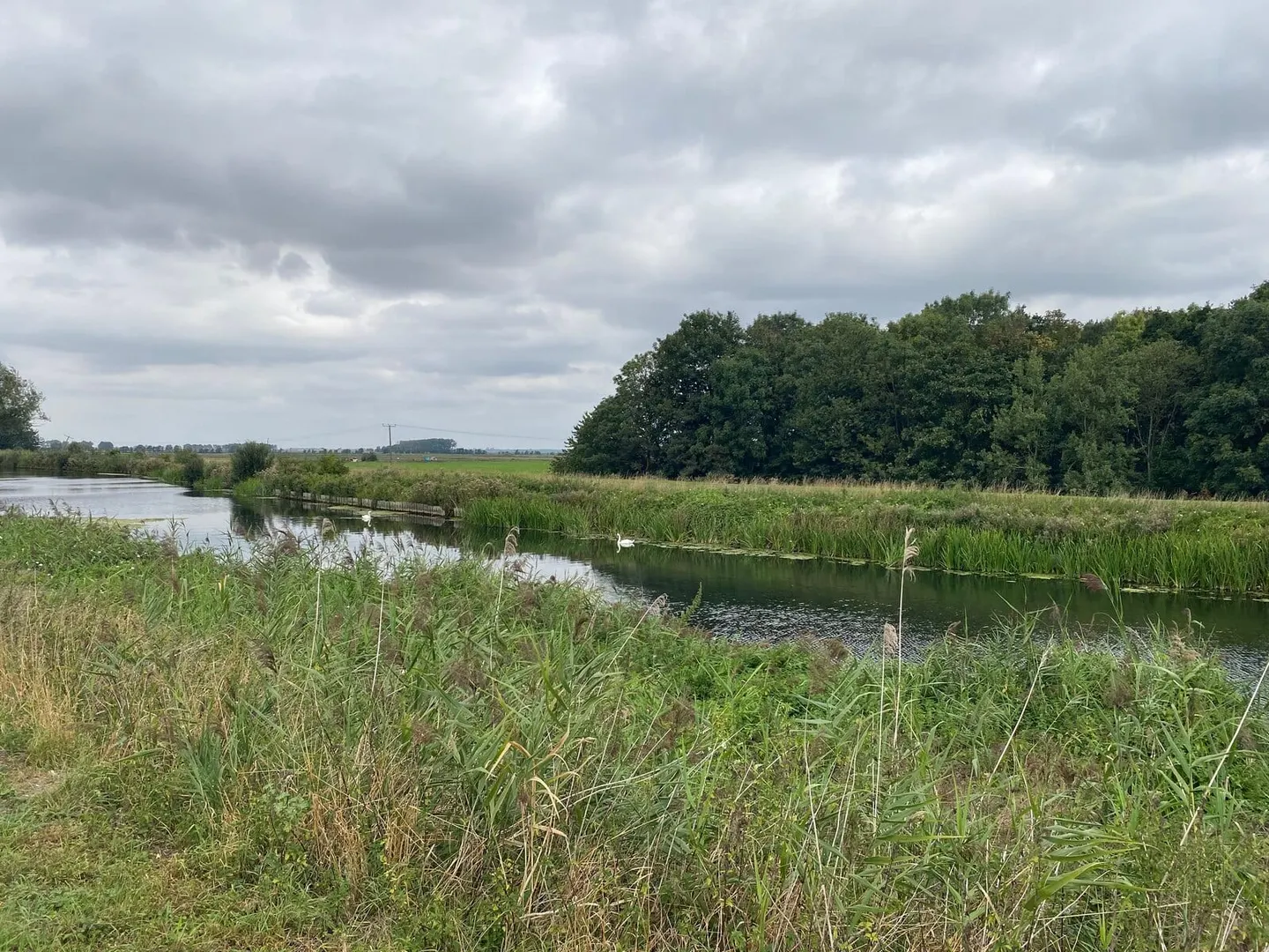 Photo of the Little Ouse River, a river navigation running from Brandon Creek to Brandon, eastern England.