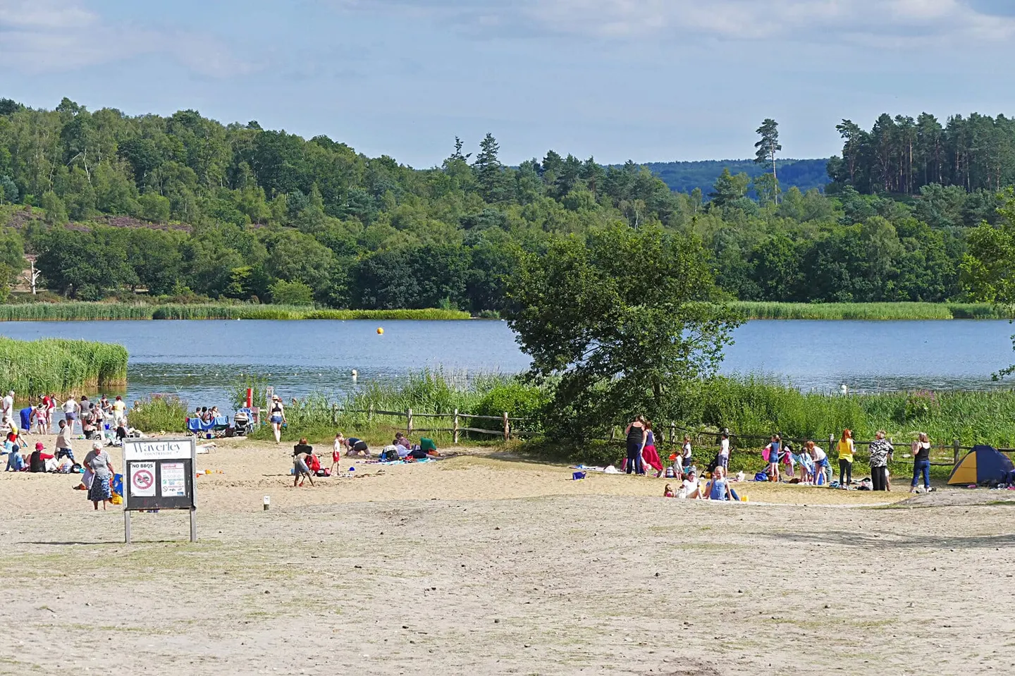 Photo of Frensham Great Pond, a swimming spot near Tilford, Surrey, south east England.