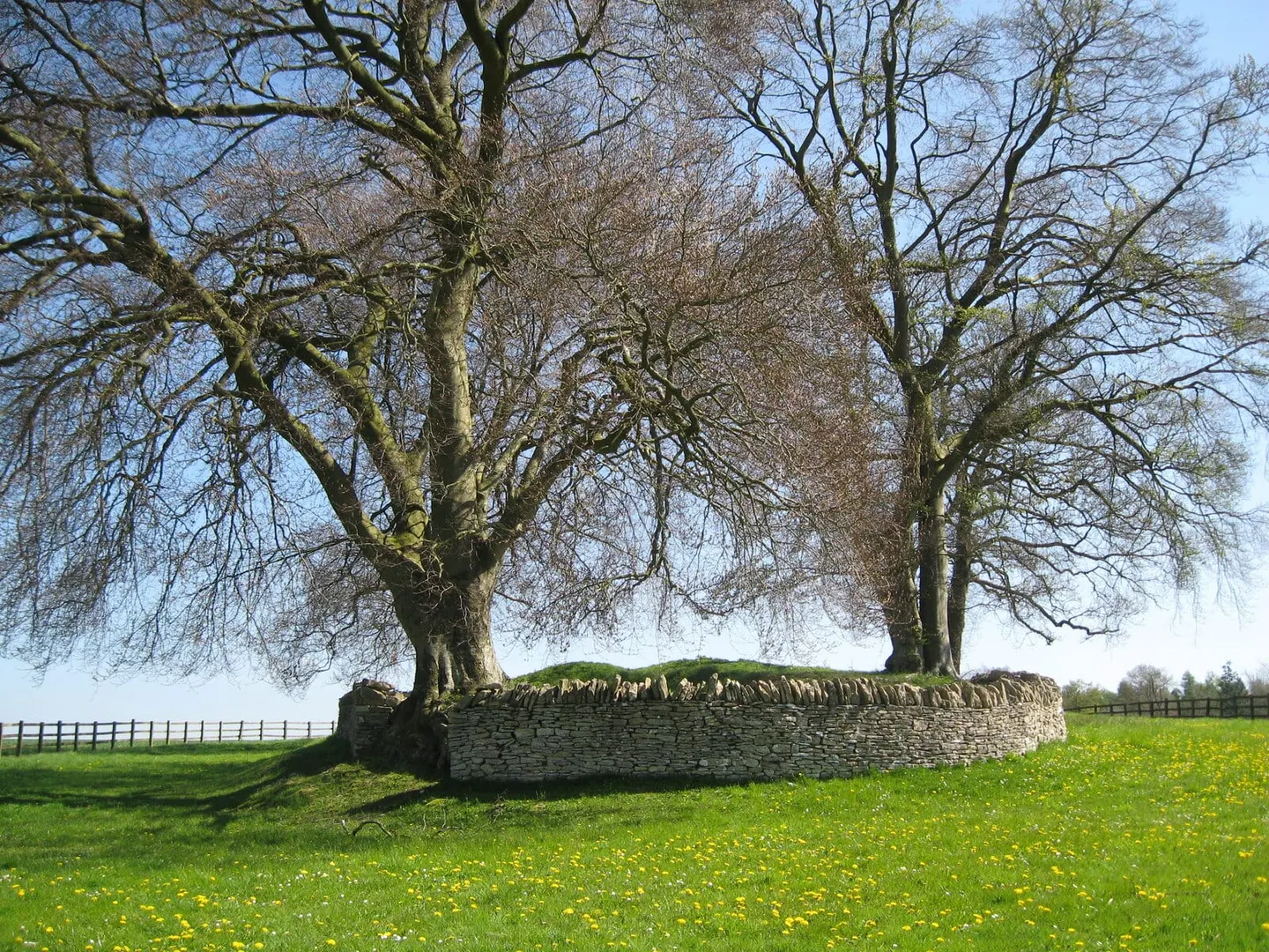 Photo of Windmill Tump Long Barrow, a chambered tomb near Sapperton in the Cotswolds, Gloucestershire, south west England.