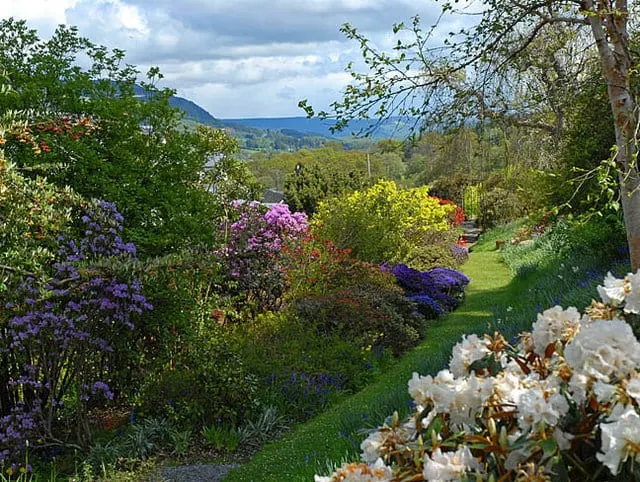 Photo of Bolfracks Garden, a garden near Aberfeldy, Perth and Kinross, central Scotland.