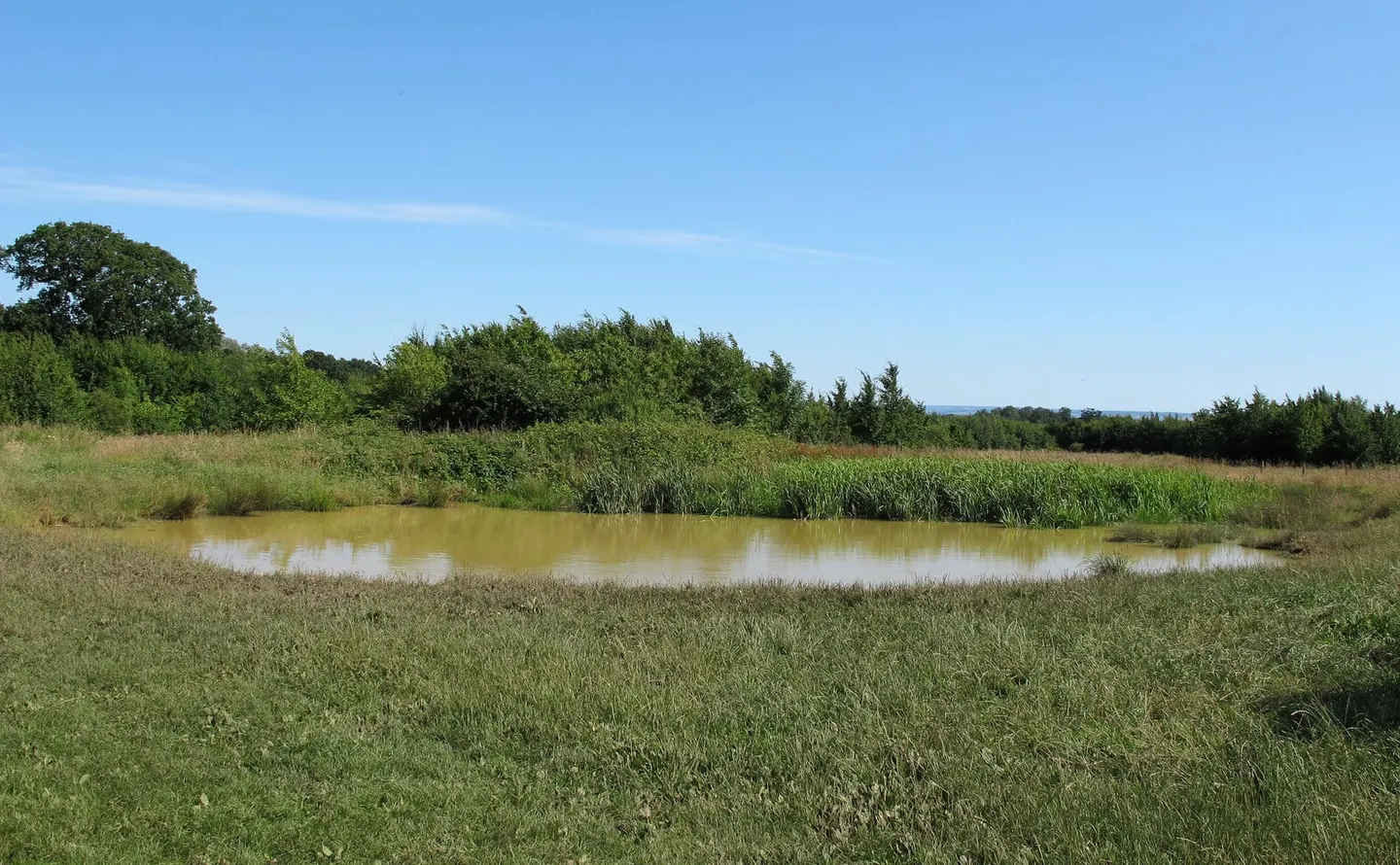 Photo of Thorndon Country Park, a country park near West Horndon, Essex, eastern England.