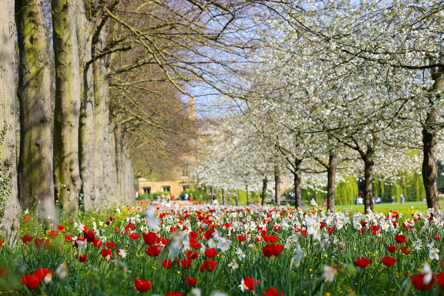 Photo of St John's College, a Grade II* registered house & garden in Cambridgeshire, eastern England.