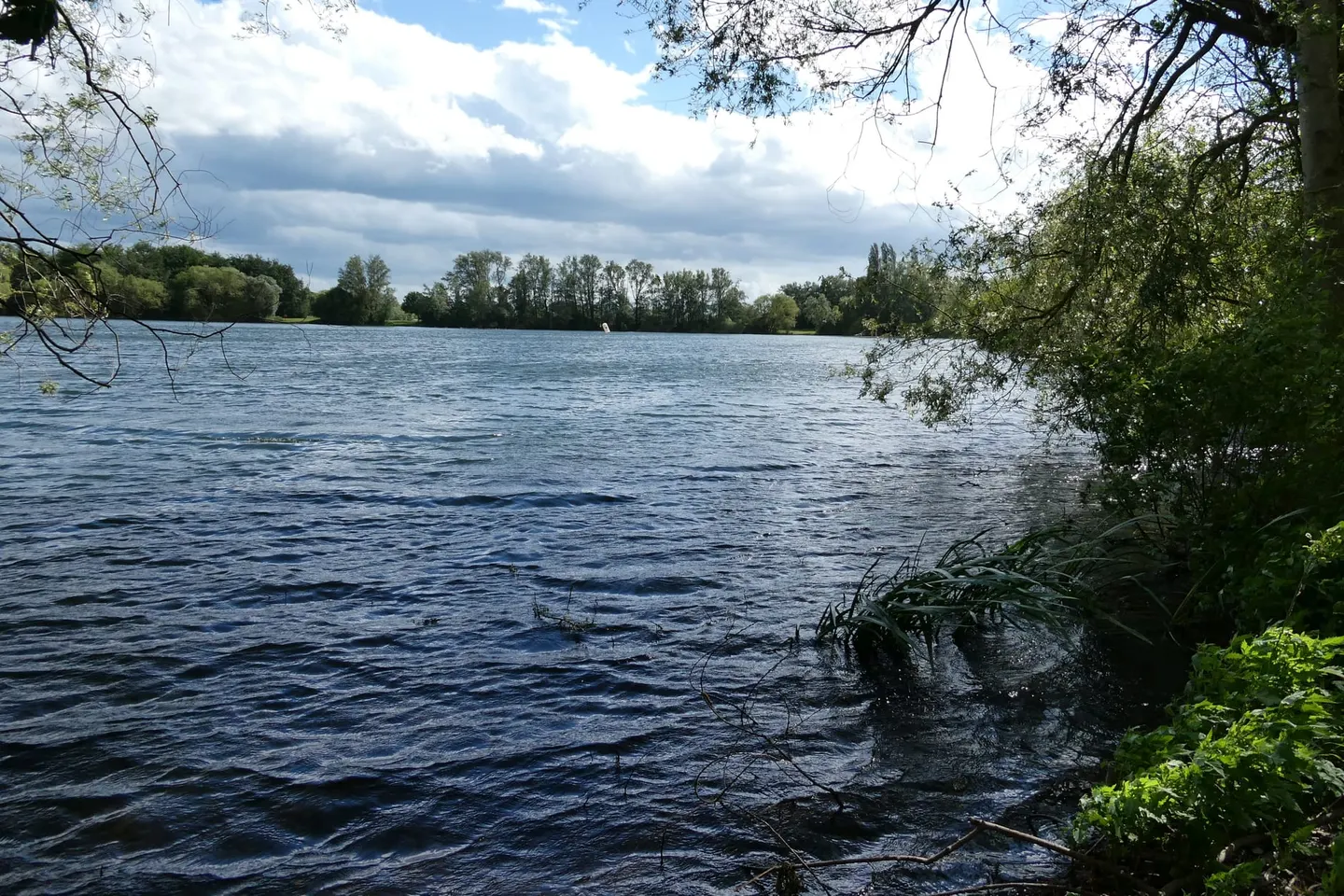 Photo of Colwick Country Park (West Lake), a swimming spot in Nottinghamshire, central England.