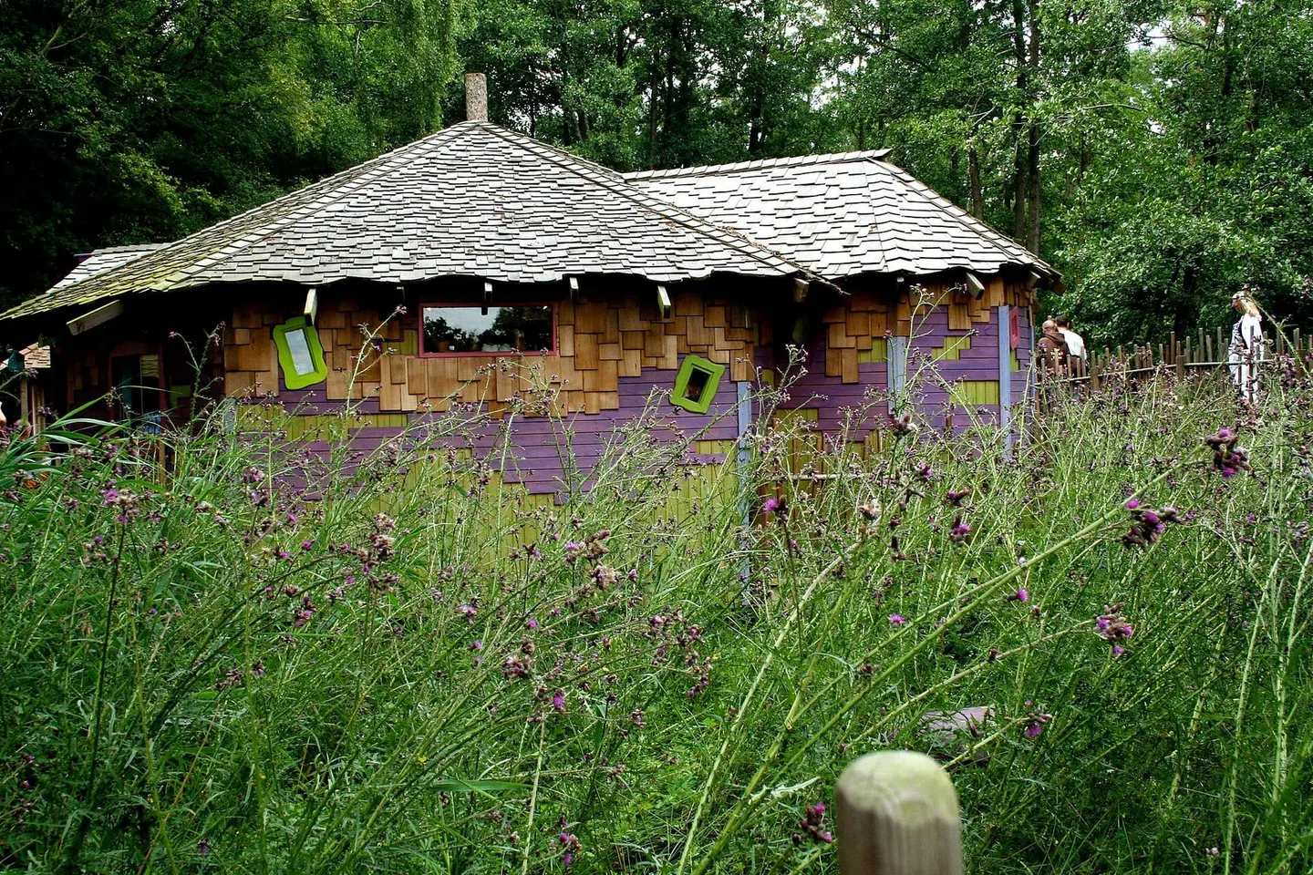 Photo of BeWILDerwood, a visitor attraction near Horning in the Broads, Norfolk, eastern England.