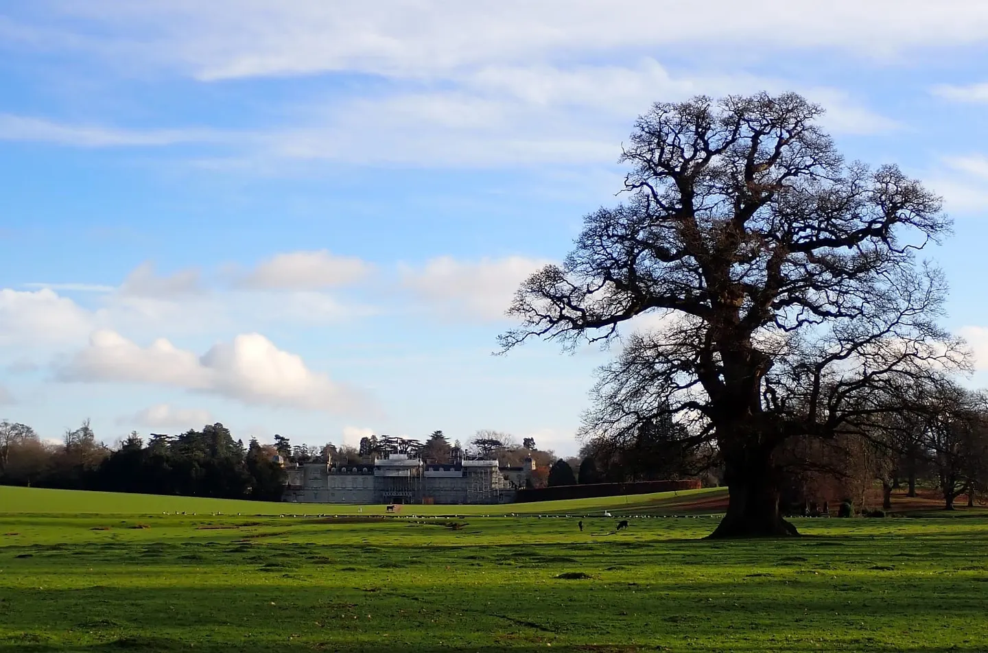 Photo of Woburn, a village in Bedfordshire, eastern England.