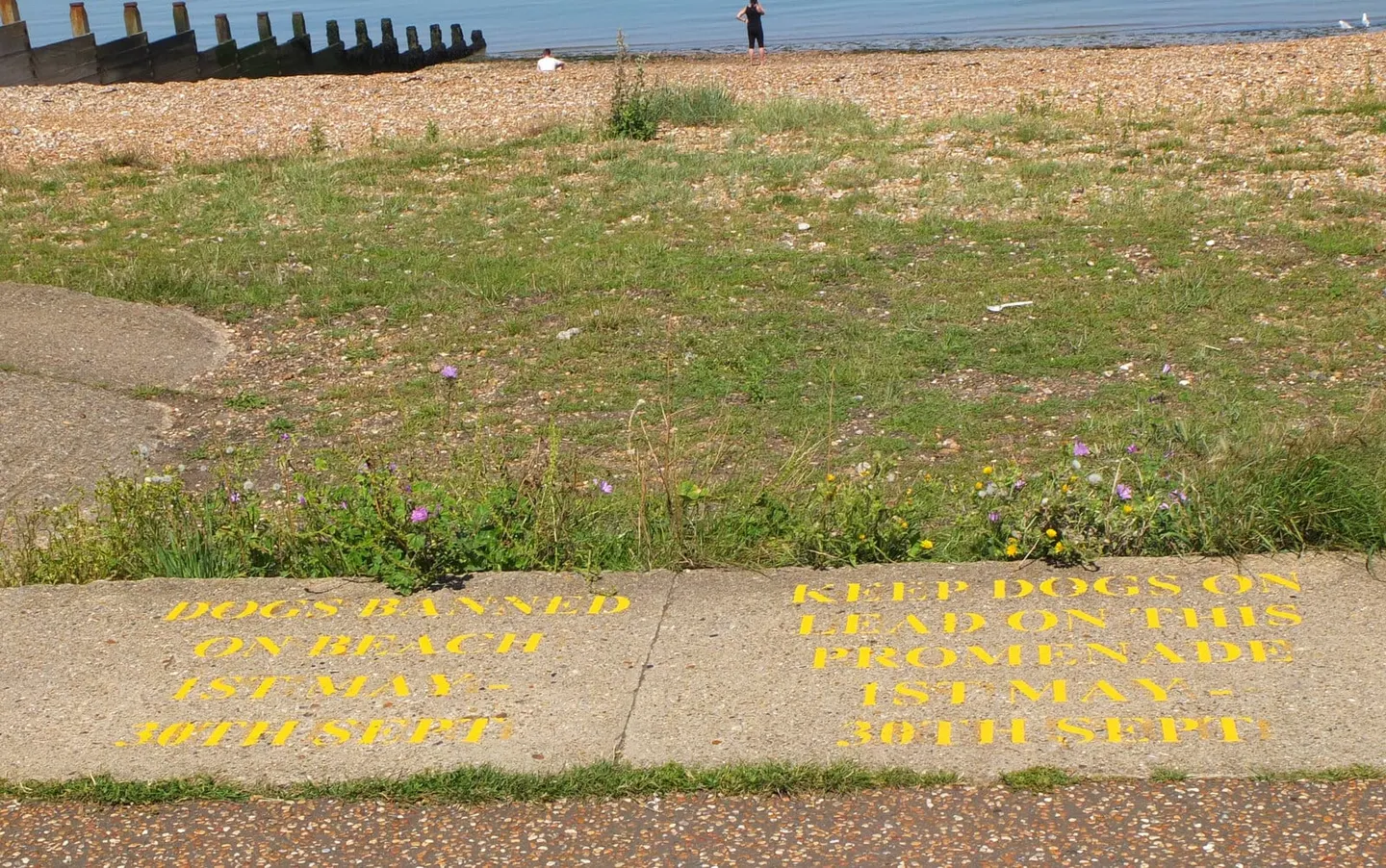 Photo of Tankerton, a swimming spot near Whitstable, Kent, south east England.